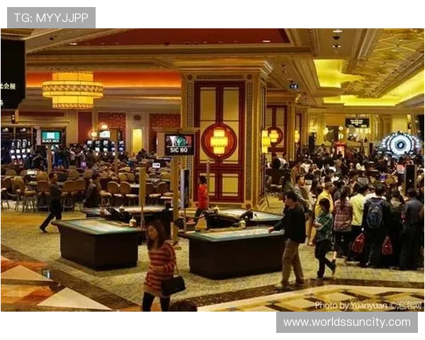 澳门新葡京445 VIP尊享体验，开启奢华娱乐新纪元